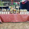 division sports 2019 2